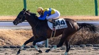 【新馬/中山3R】大井所属・矢野貴之がエアサロメで新馬V
