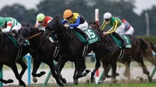 【京都金杯】3連単は109万円超の波乱…ブエナオンダが重賞初制覇