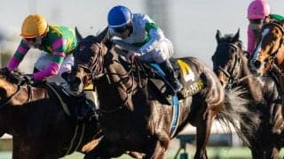 【ジュニアC】4着までハナ差の激戦！リゾートアイランドが人気に応える