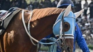 京都芝はステイゴールド系に要注意 万葉Sはメイショウブレゲの復活Vだ