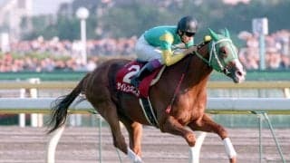 『ウマ娘』でも\"大逃げ\"を得意とするサイレンススズカが魅せた、大観衆が息をのんだ異次元の快速劇