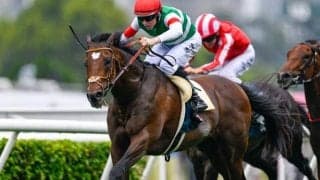 23年のダービー馬タスティエーラが登録抹消 優駿スタリオンステーションで種牡馬入り