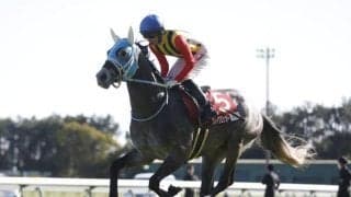 【今日の注目ポイント】京都で芝3000mの名物レース万葉S