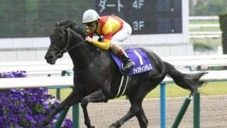 23年の天皇賞(春)覇者ジャスティンパレスが登録抹消 アロースタッドで種牡馬入り