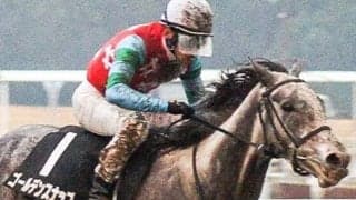 波乱傾向の万葉S 過去10年で6勝を挙げる要注目の血統とは