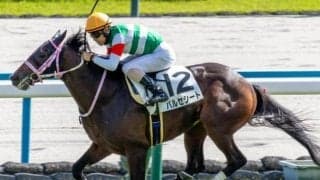 【シンザン記念】半姉は2歳女王のレシステンシア バルセシートが逆襲の重賞初制覇なるか