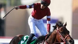 まもなく発表されるJRA賞　フォーエバーヤングはダート馬初の年度代表馬になれるか