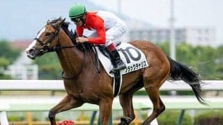 【フェアリーS】ブラックチャリス、ギリーズボールらが登録