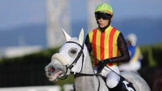 【万葉S】坂井瑠星騎乗 格上挑戦のアクアヴァーナルが快勝