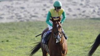 【門松S】武豊騎手が今年の初勝利…ヒルノドゴールで差し切りV