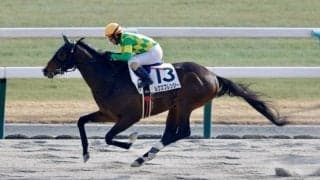 【京都7R】14番人気が激走！ルクスフレンジーが豪快な差し切りV