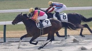 【京都4R】テイエムサンレーヴの直線一気炸裂…鮮やか2勝目
