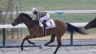 【新馬/京都3R】グァンチャーレ産駒 マナボニートがデビューV