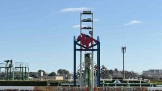 【新馬/中山5R】ハナ差の接戦！デイトナチャンプが人気に応える