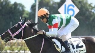 登竜門のシンザン記念とフェアリーS/今週の競馬界の見どころ