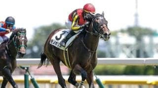 【シンザン記念見どころ】初戦の勝ちっぷりが圧巻だったモノポリオ