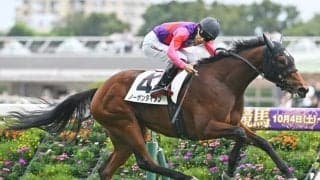 【フェアリーS見どころ】将来性豊かな血統馬ノーザンタイタンが混戦を断つ