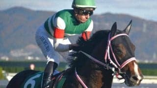 【シンザン記念想定騎手】バルセシートは北村友一騎手、アルトラムスは岩田望来騎手