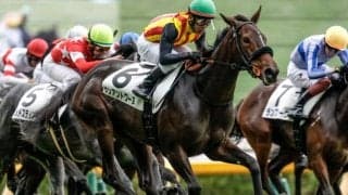 【フェアリーS想定騎手】サンアントワーヌは戸崎圭太騎手、ブラックチャリスは津村明秀騎手