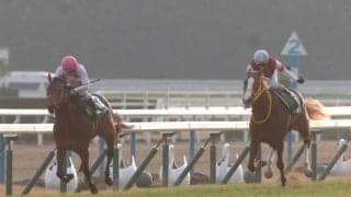 シンザン記念勝ち時計ランキング 出世レースを最速で駆け抜けた馬は？