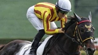 【フェアリーS】舞台は母が重賞Vの中山芝マイル ピエドゥラパンが重賞初制覇なるか