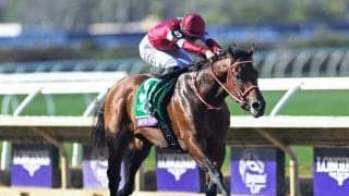 フォーエバーヤングが年度代表馬に！ 25年度のJRA賞受賞馬が決定