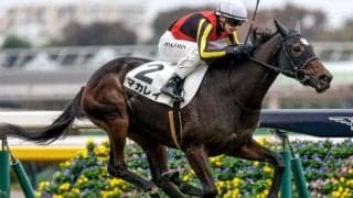 【フェアリーS展望】好走データに完全合致するマカレイが中心