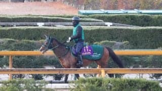 パンジャタワーなど、先週の入厩情報/栗東トレセンニュース