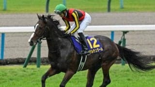 【日経新春杯想定】ゲルチュタール、ライラックなど12頭