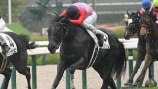 【フェアリーS予想】AIが「戦歴と血統」を高く評価した一頭は？