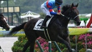 【シンザン記念展望】同距離組の好走率が圧倒的、穴は距離短縮組の食い込み