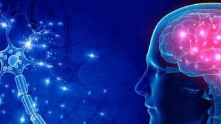 【スポーツメンタル】感情をコントロールする「感謝の気持ち」がパフォーマンスを高める