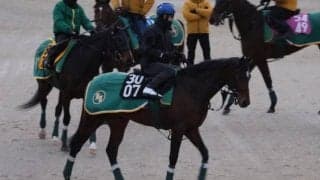 アクセス、京成杯1週前追い切り速報/栗東トレセンニュース