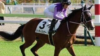 【フェアリーS】2年目の上里直汰騎手 ハーディジェナーで重賞初挑戦初制覇なるか