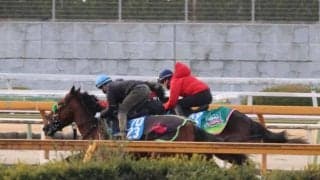 ゲルチュタール、日経新春杯1週前追い切り速報/栗東トレセンニュース