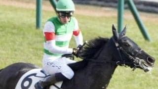 【フェアリーS】半兄はドゥラエレーデ ヴィスコンテッサが重賞初制覇を狙う