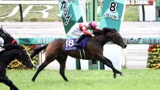 ダノンスコーピオンが南アフリカで種牡馬入り