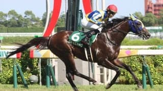 中京記念Vのセルバーグが登録抹消