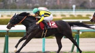 シングザットソングが引退、繁殖入り