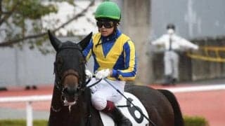 23年中京記念覇者セルバーグが登録抹消 滋賀県で乗馬になる予定