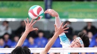 春高バレー大阪勢3校が4強入り　男子・清風、女子・金蘭会と大阪国際が10日の準決勝へ