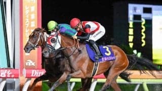 牝馬ダート重賞5勝のグランブリッジが登録抹消 今後は追分ファームで繁殖馬になる予定