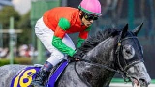 【迎春S】23年の若駒S覇者のマイネルラウレア 待ちに待った2年1カ月ぶりの実戦だ