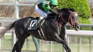 【ポルックスS】甥は三冠馬コントレイル ミスティックロアがオープン初勝利なるか