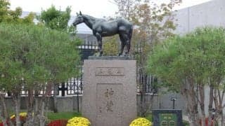 ばんえい競馬にもその血をのこす!? シンザン記念の「シンザン」ってどんな馬