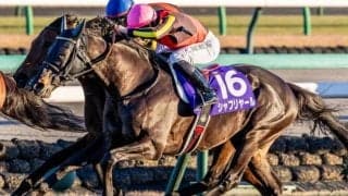 半兄は日本ダービー馬のシャフリヤール ジャミールアインが河原田菜々騎手でデビュー