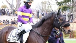 京都ダートは差しも決まる すばるSは舞台巧者のニシキギミッチーに出番だ