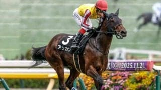 【京成杯想定馬・騎手】アッカン、アクセスなど17頭