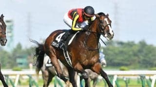 【日経新春杯想定馬・騎手】ゲルチュタール、ライラックなど14頭