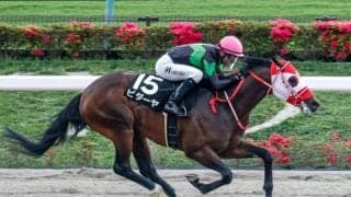 【今日の注目ポイント】すばるSと新馬戦でクロノジェネシスの半妹がデビュー